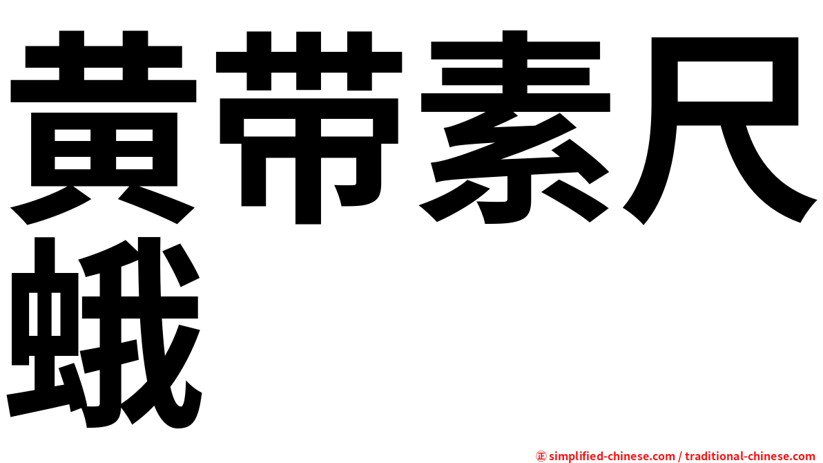 黄带素尺蛾