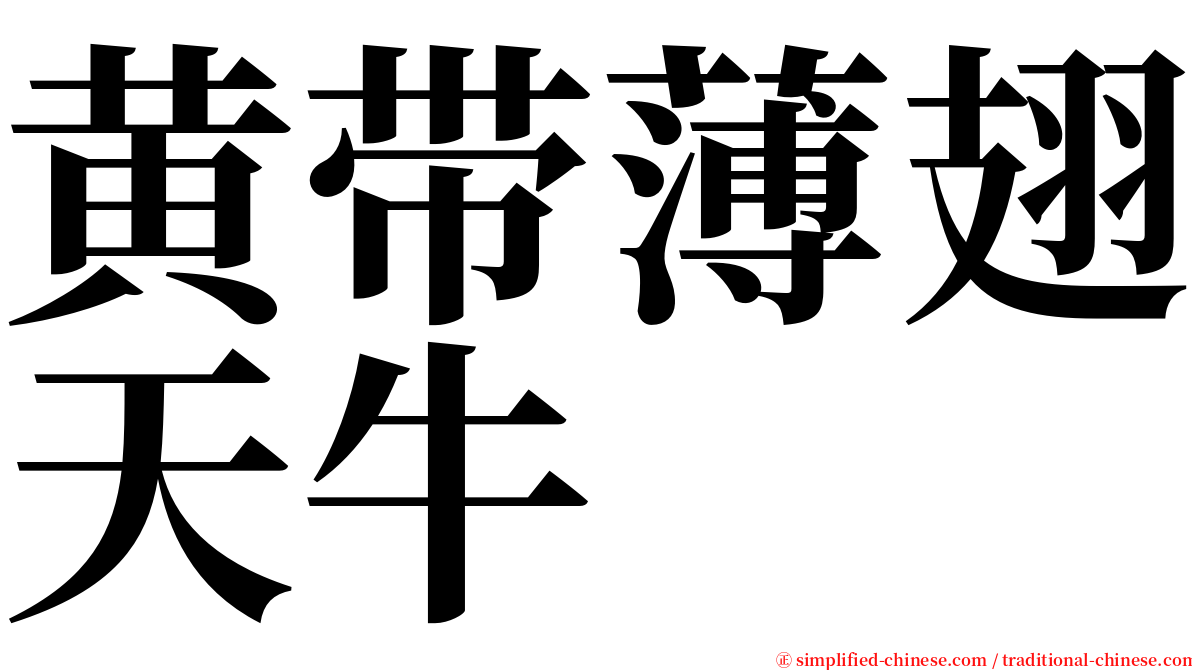 黄带薄翅天牛 serif font