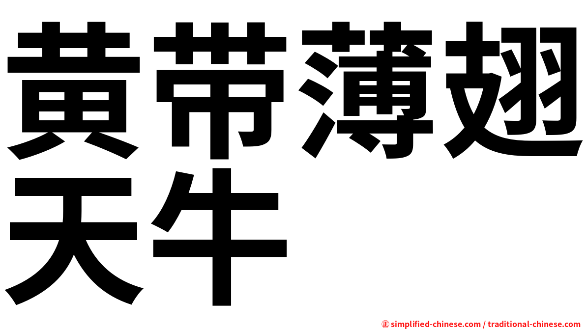 黄带薄翅天牛