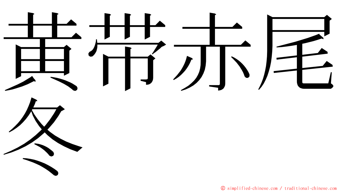 黄带赤尾冬 ming font