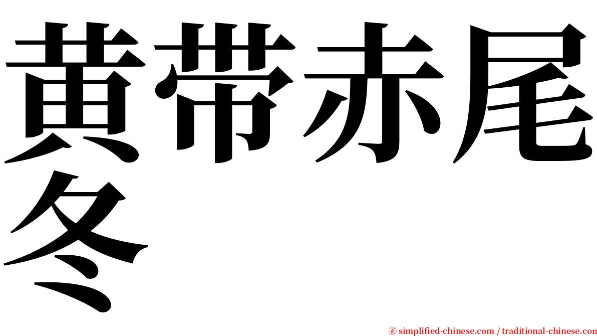 黄带赤尾冬 serif font