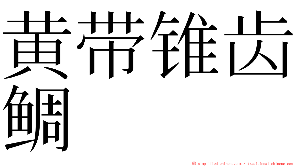 黄带锥齿鲷 ming font