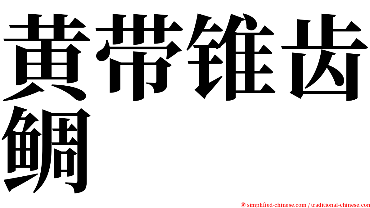 黄带锥齿鲷 serif font
