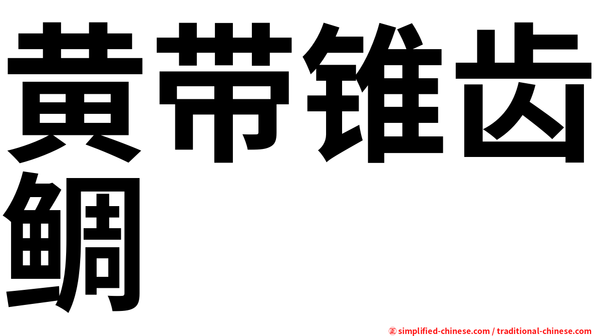 黄带锥齿鲷