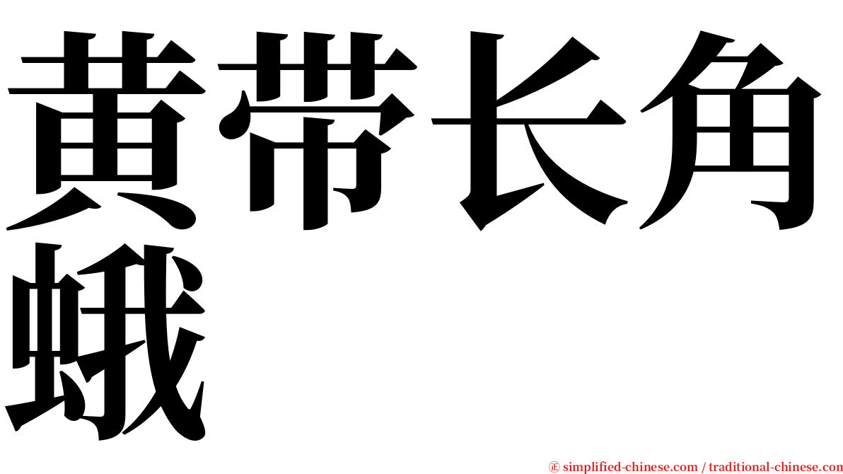 黄带长角蛾 serif font