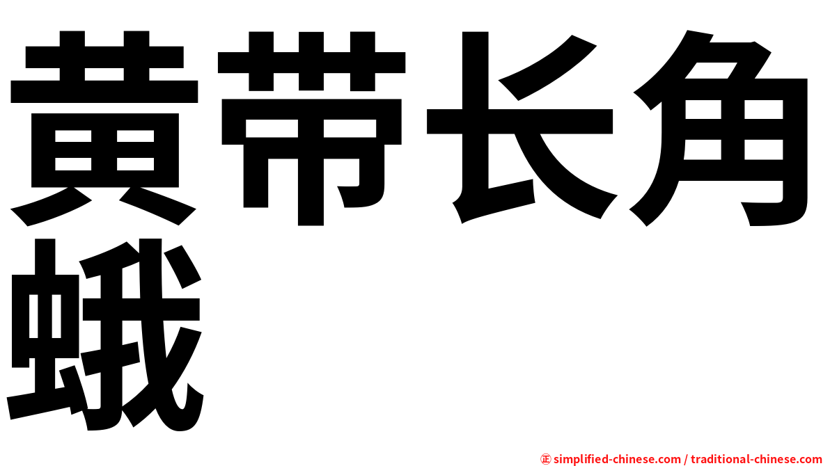 黄带长角蛾