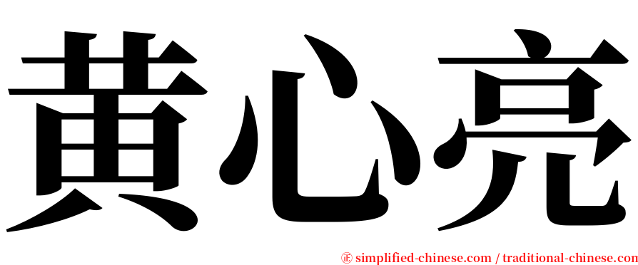 黄心亮 serif font