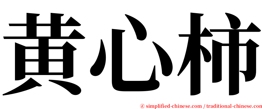 黄心柿 serif font