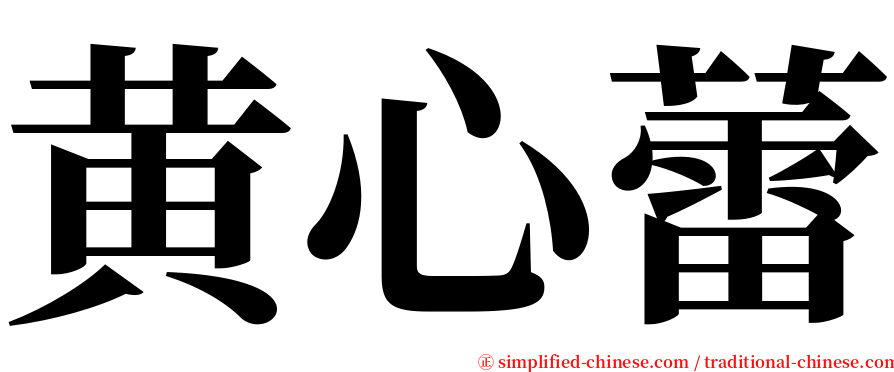 黄心蕾 serif font