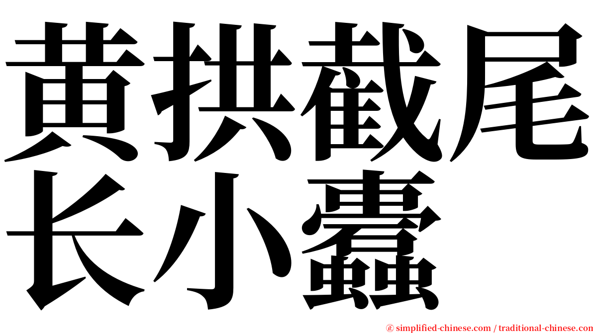 黄拱截尾长小蠹 serif font