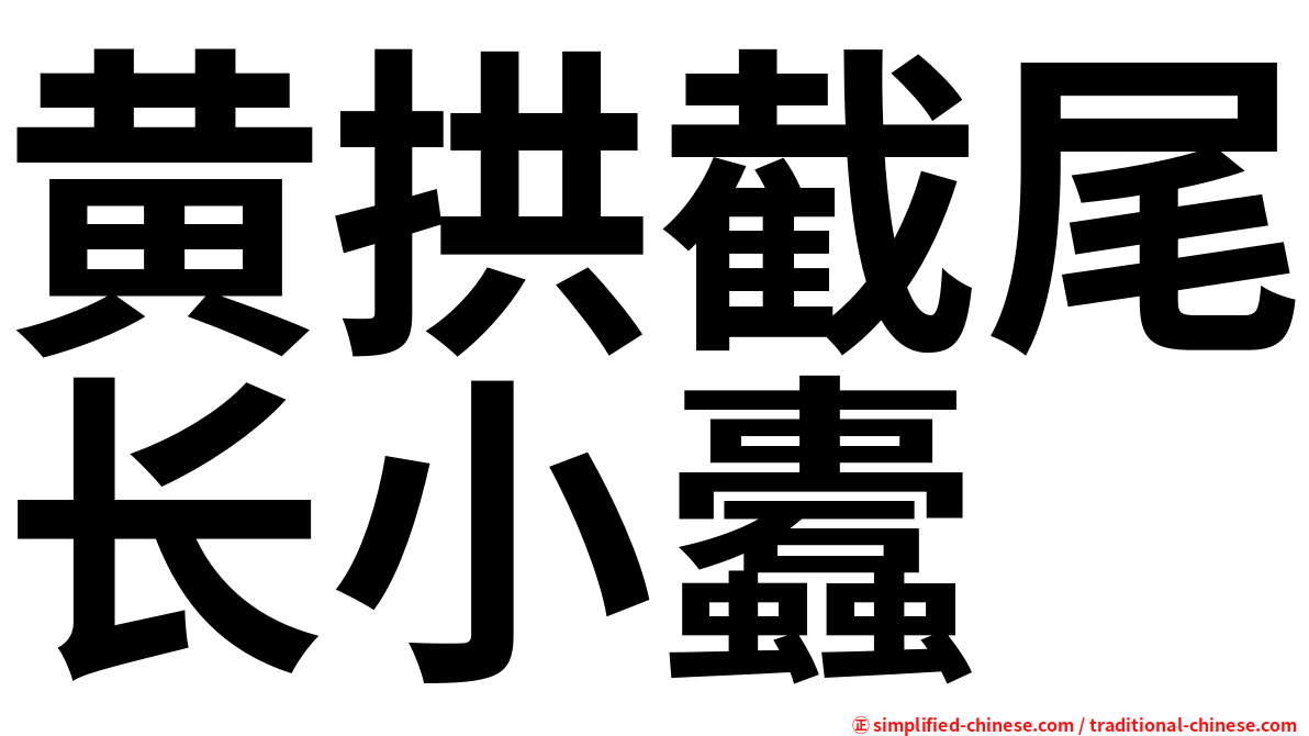 黄拱截尾长小蠹