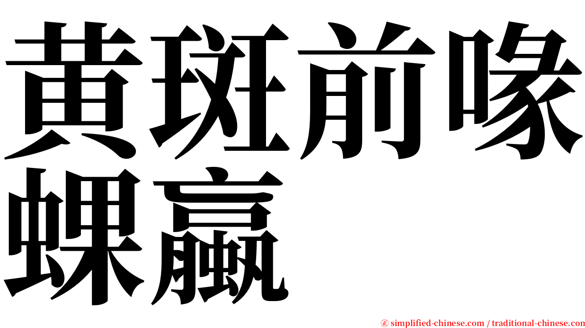 黄斑前喙蜾蠃 serif font