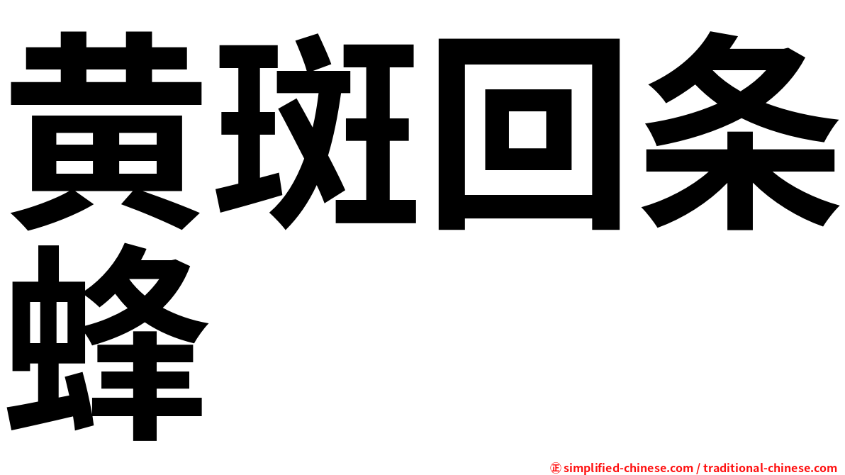 黄斑回条蜂