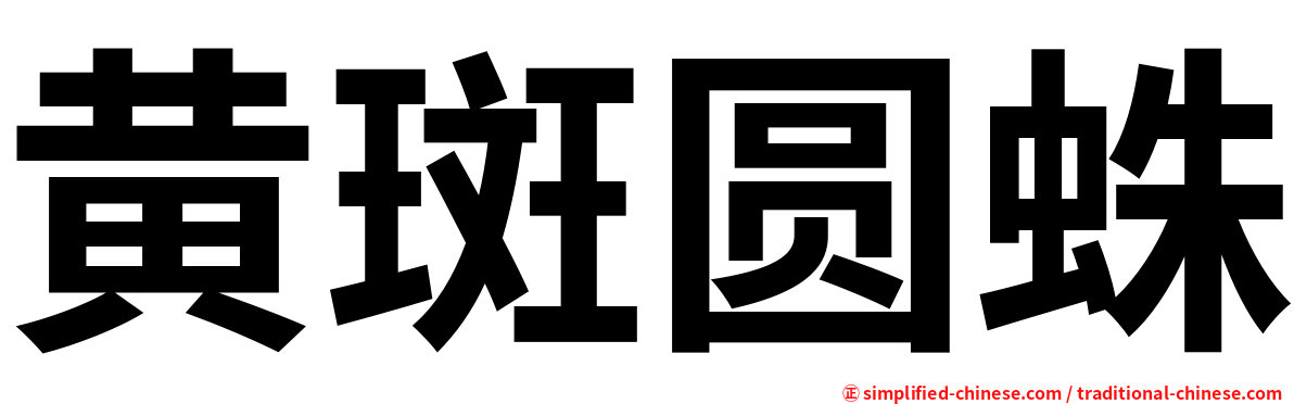 黄斑圆蛛