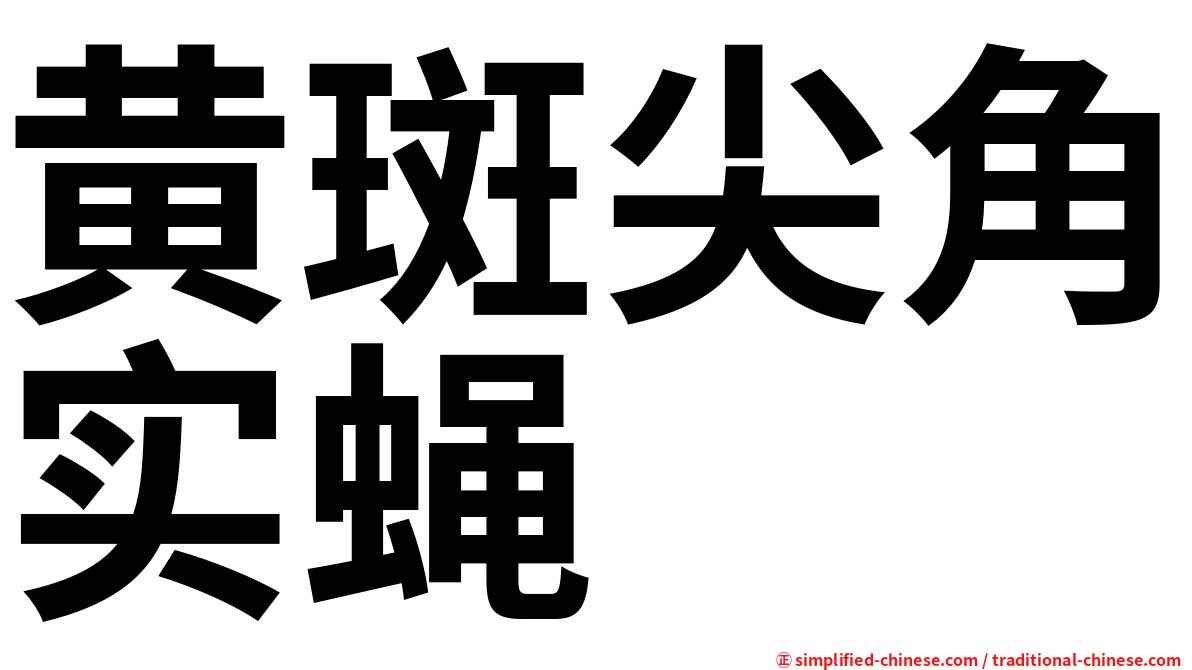黄斑尖角实蝇