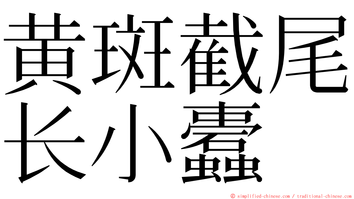 黄斑截尾长小蠹 ming font