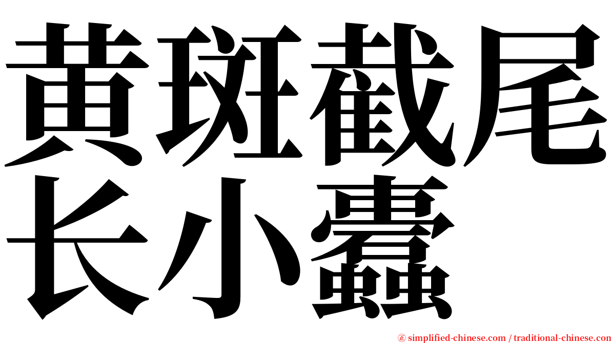 黄斑截尾长小蠹 serif font