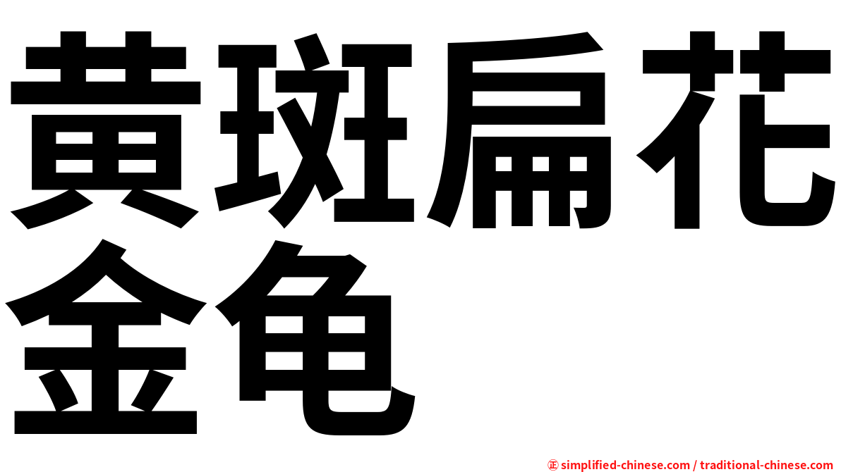 黄斑扁花金龟