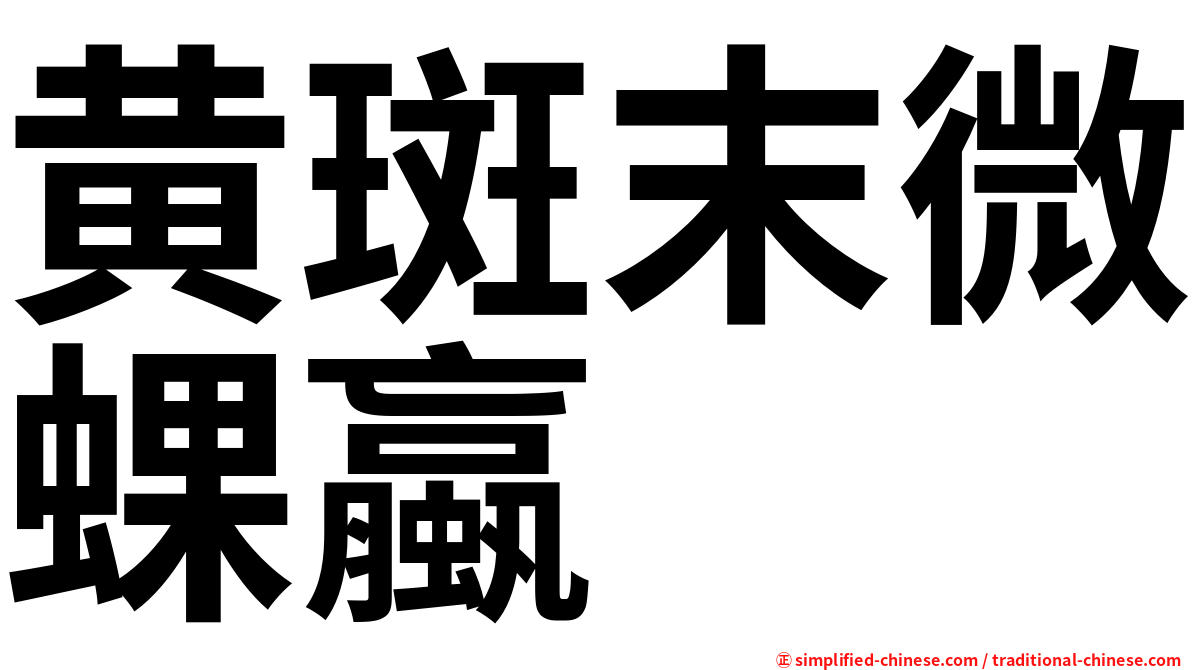 黄斑末微蜾蠃