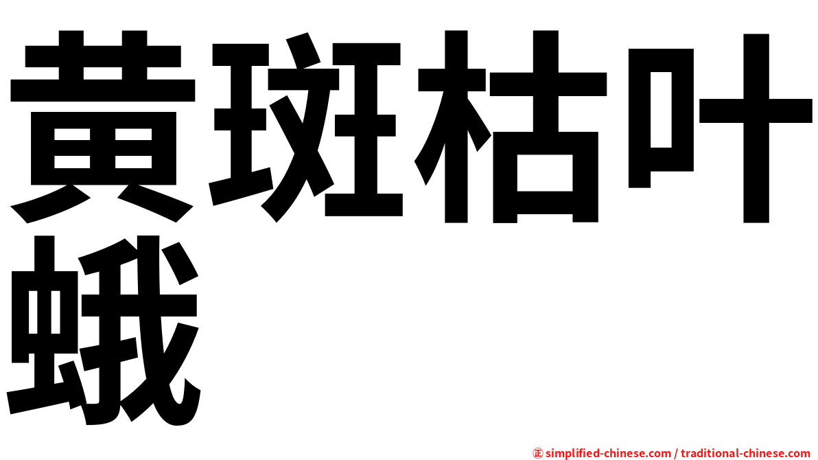 黄斑枯叶蛾