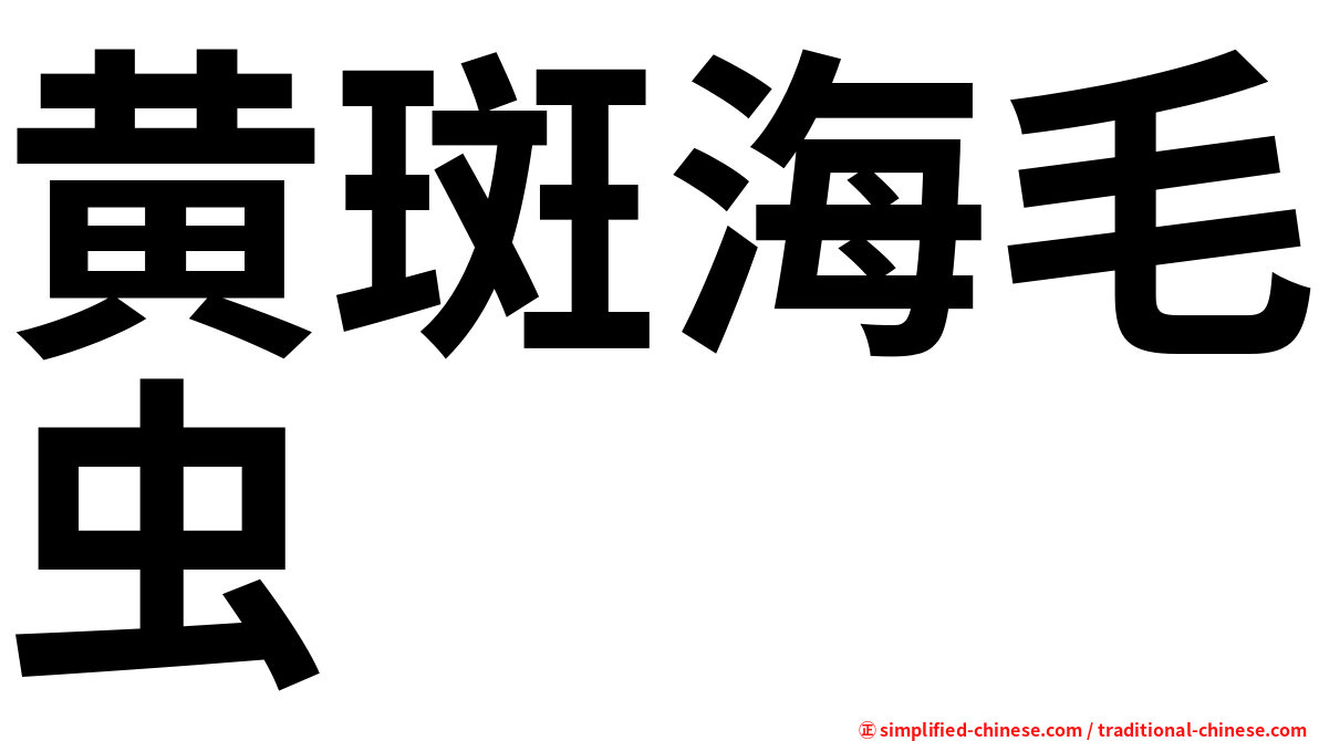 黄斑海毛虫