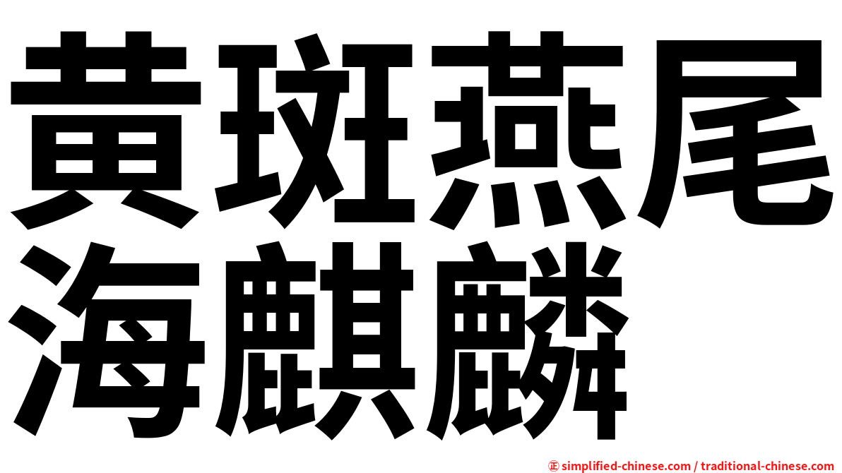 黄斑燕尾海麒麟