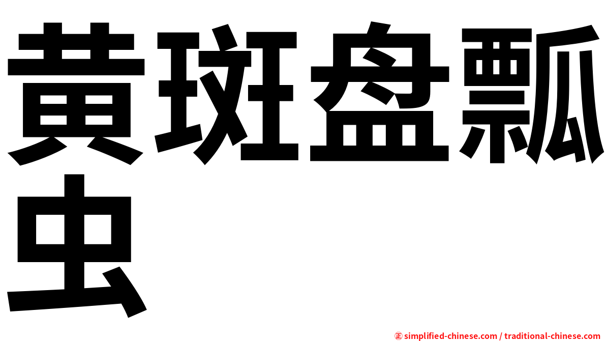 黄斑盘瓢虫
