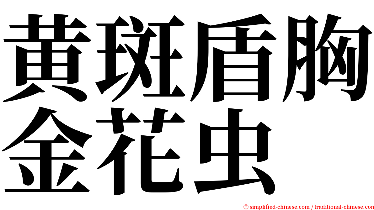 黄斑盾胸金花虫 serif font