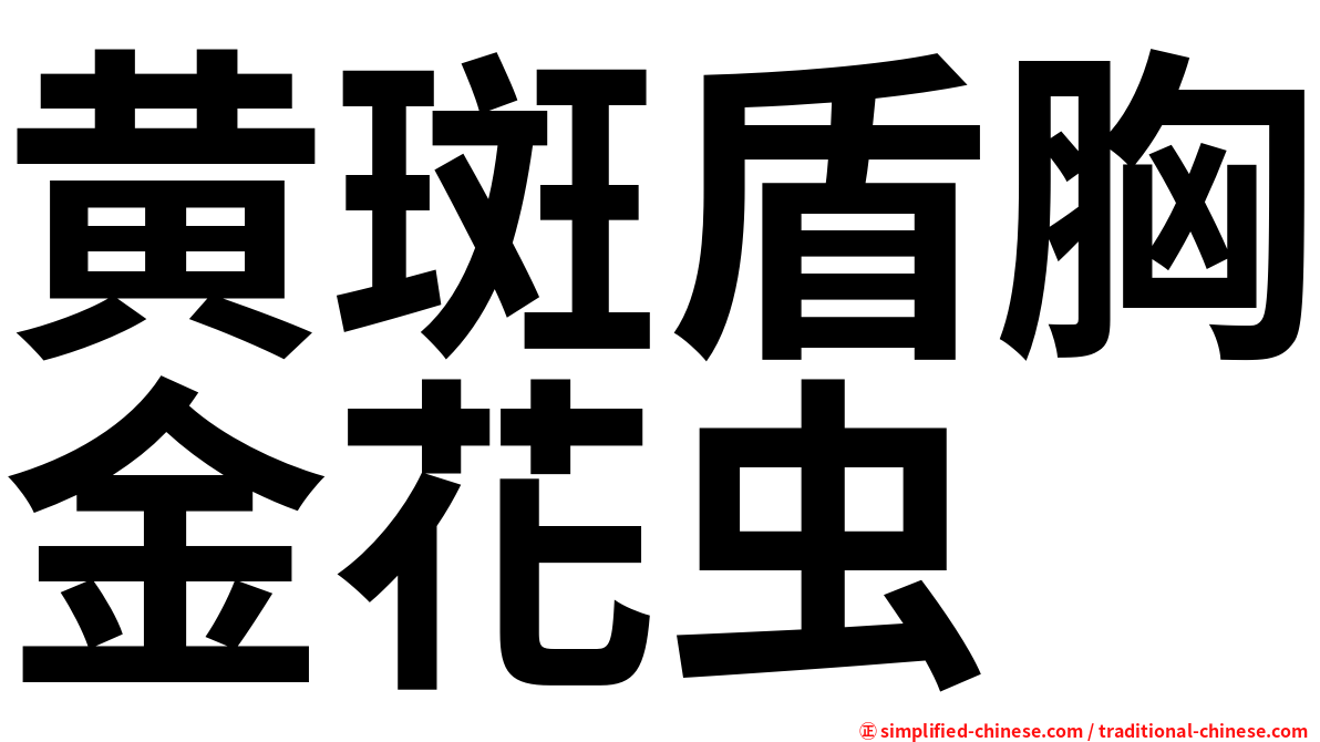 黄斑盾胸金花虫