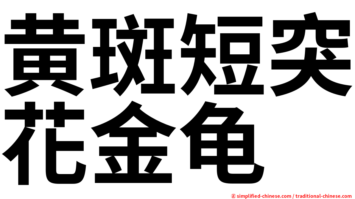 黄斑短突花金龟