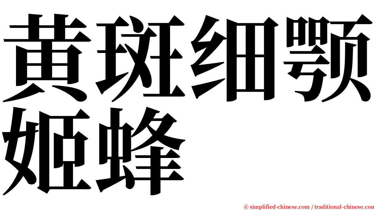 黄斑细颚姬蜂 serif font