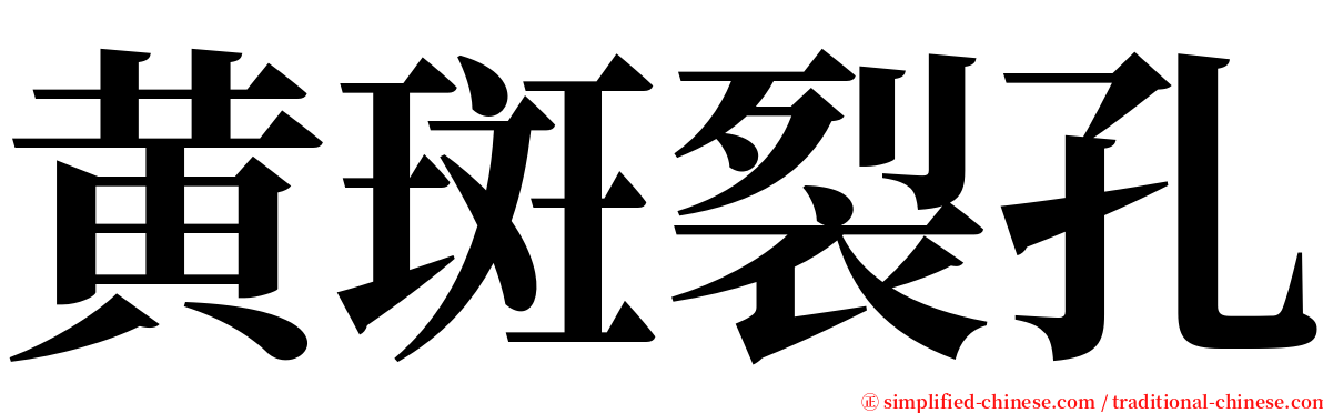 黄斑裂孔 serif font