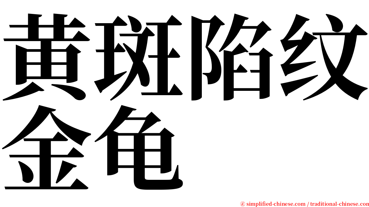 黄斑陷纹金龟 serif font