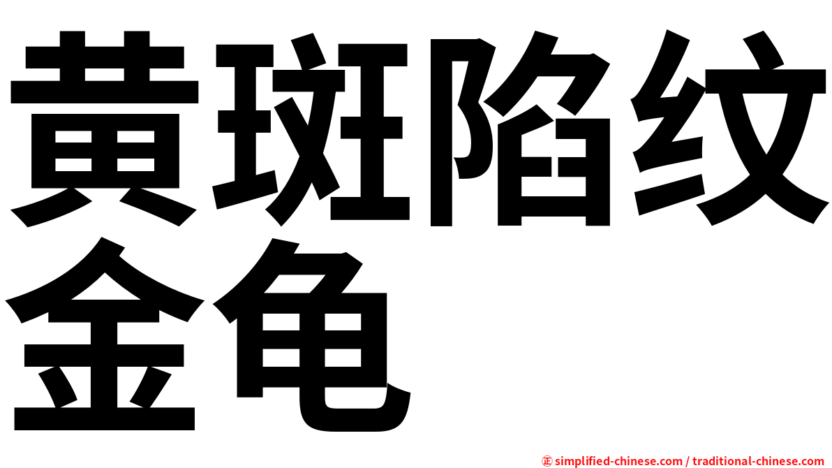 黄斑陷纹金龟