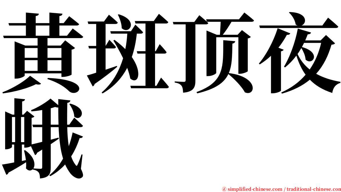 黄斑顶夜蛾 serif font