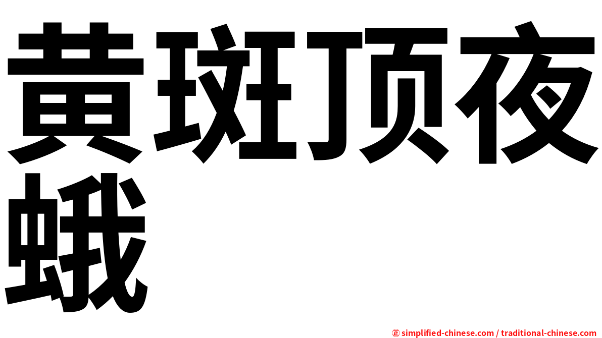 黄斑顶夜蛾