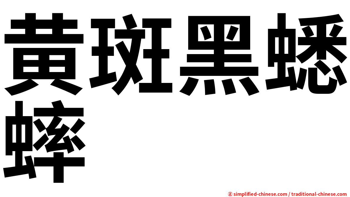 黄斑黑蟋蟀
