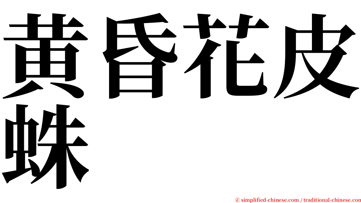 黄昏花皮蛛 serif font