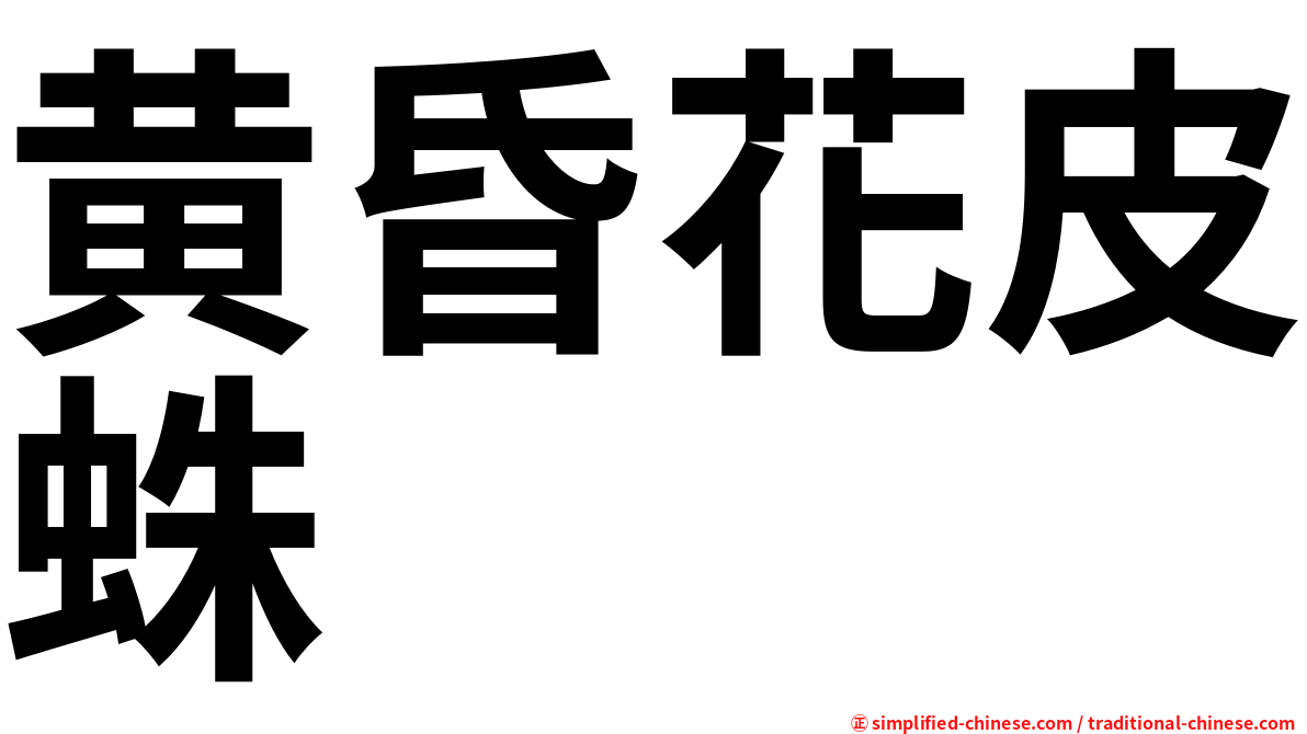 黄昏花皮蛛