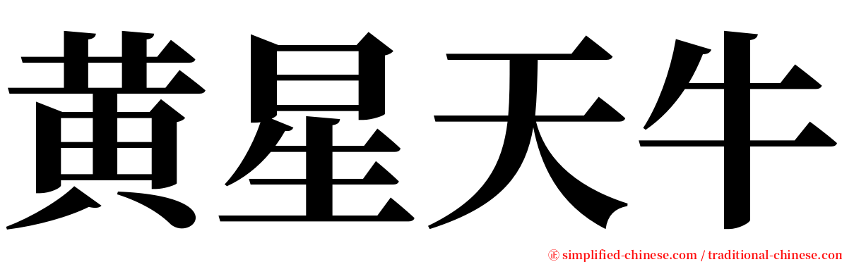 黄星天牛 serif font