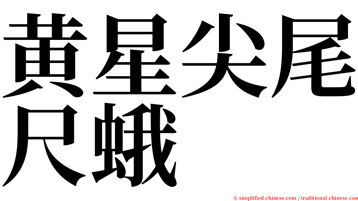 黄星尖尾尺蛾 serif font