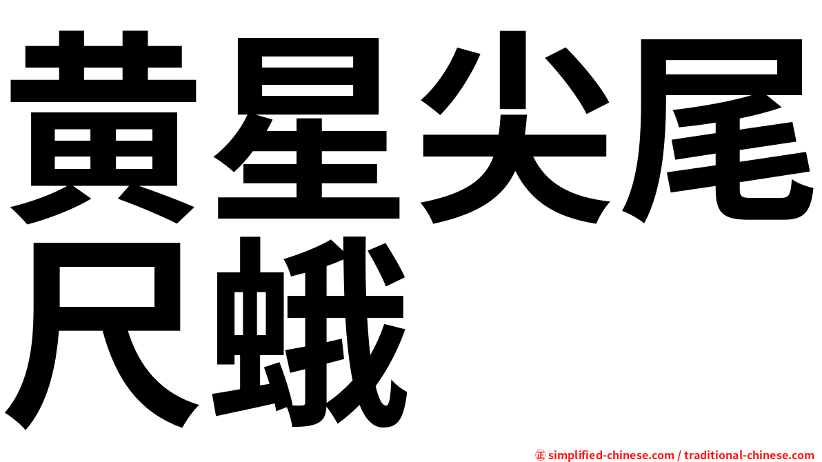 黄星尖尾尺蛾