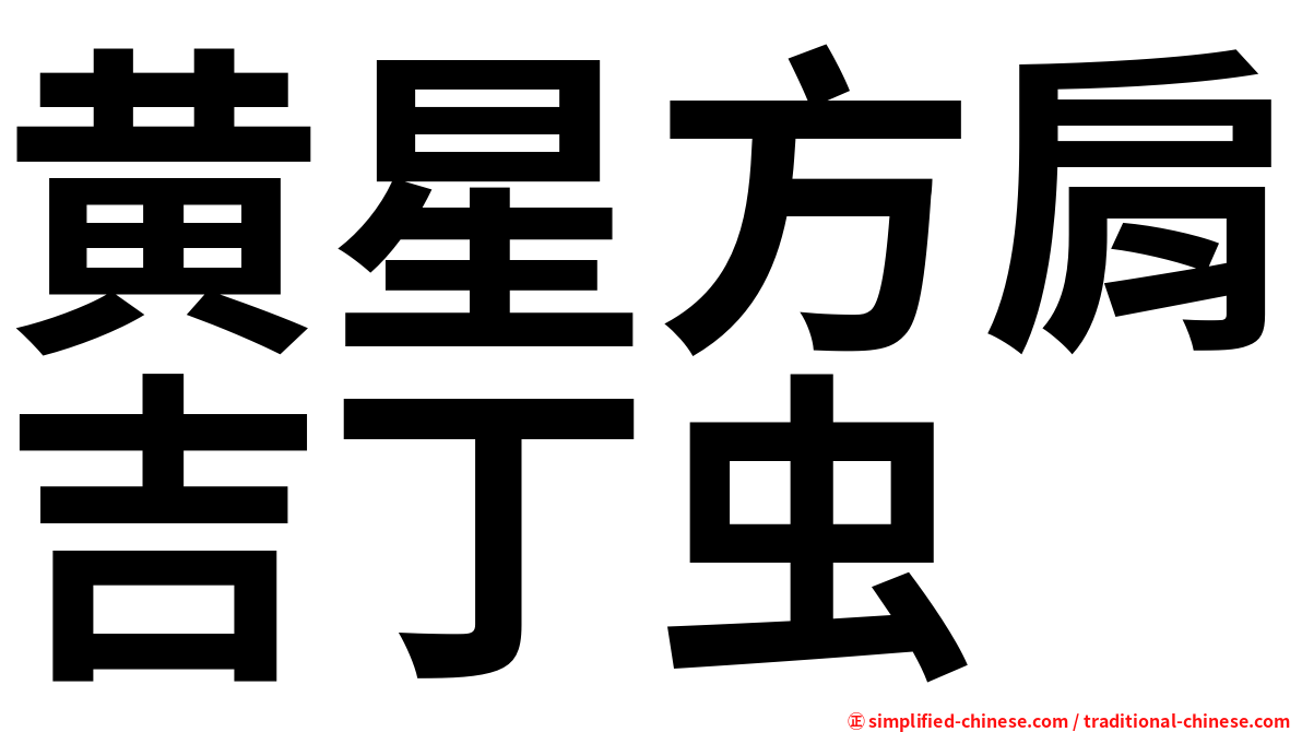 黄星方肩吉丁虫