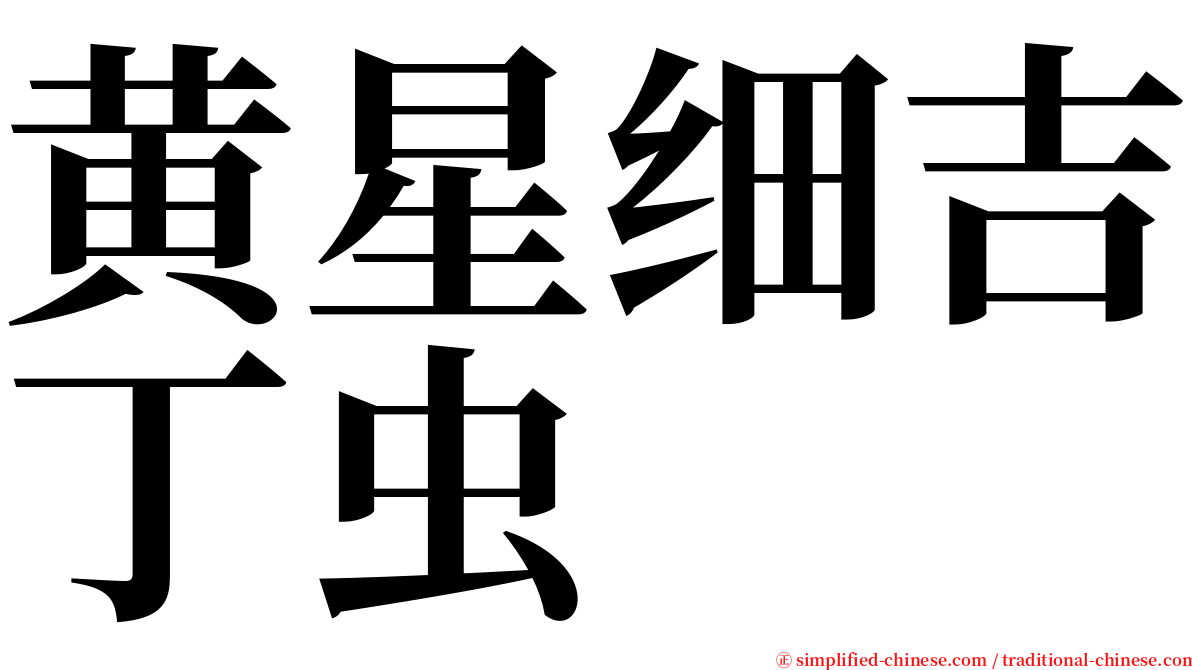 黄星细吉丁虫 serif font