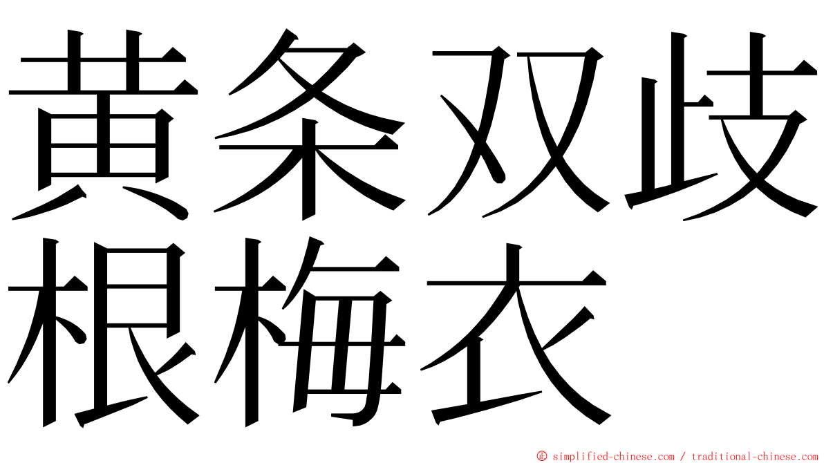 黄条双歧根梅衣 ming font