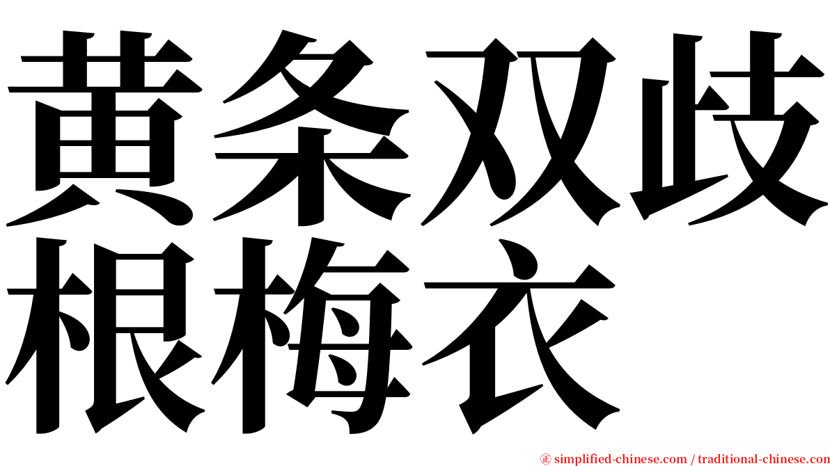 黄条双歧根梅衣 serif font