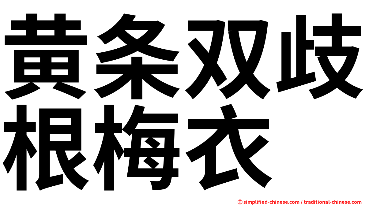 黄条双歧根梅衣