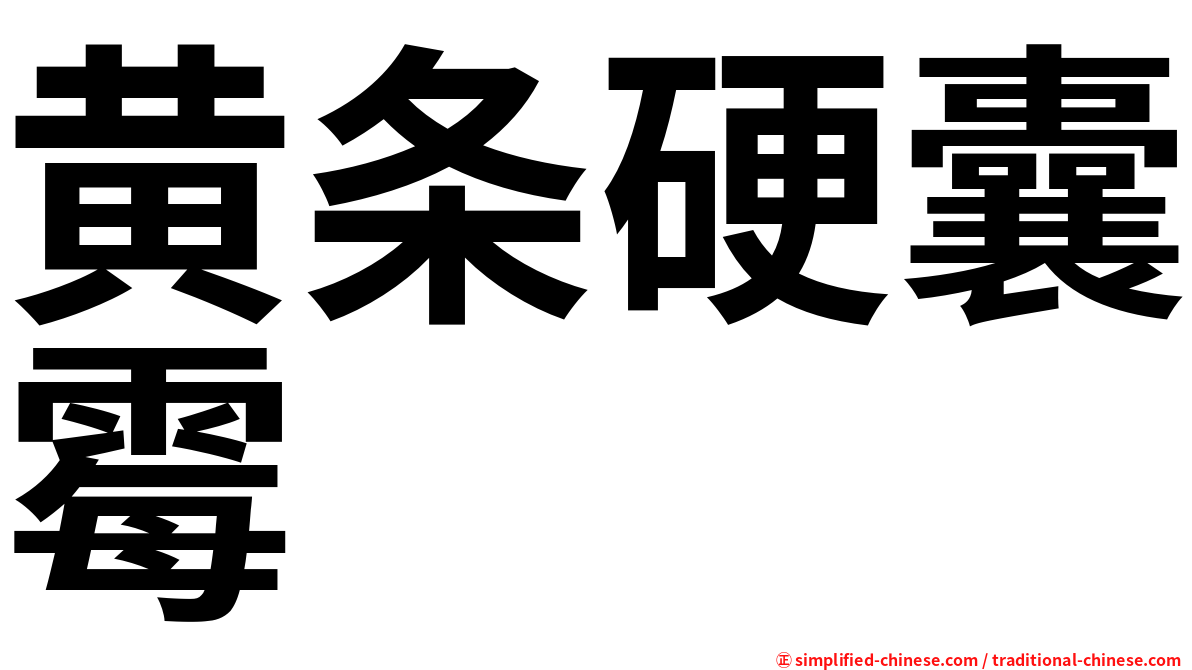 黄条硬囊霉