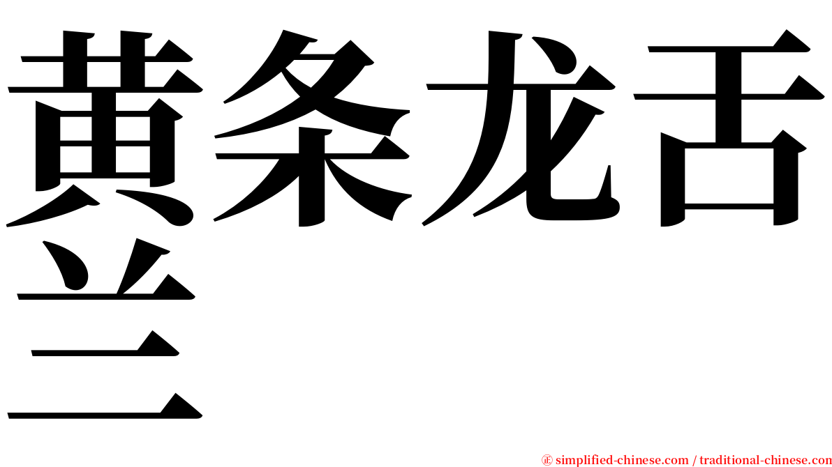黄条龙舌兰 serif font