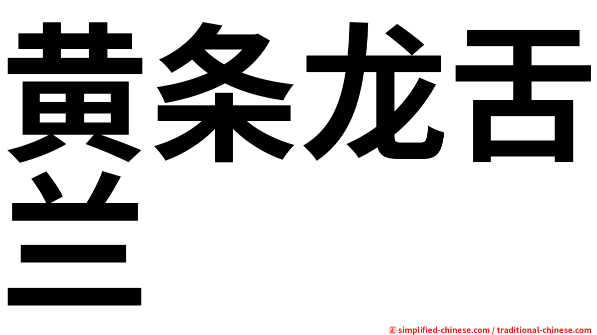 黄条龙舌兰
